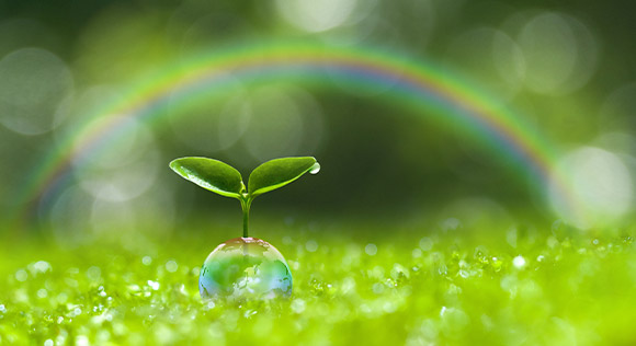 CO2削減のサポートも